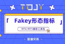 Fakey形态指标 v1.0 - 识别市场中的假突破-图道交易