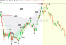 BTCUSD:大饼里的完美蝴蝶模式-图道交易