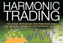 Harmonic Trading Volume 2-图道交易
