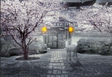 羊群效应：金融市场中的集体幻觉-图道交易