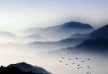 有效市场假说：战胜市场是一个伪命题-图道交易