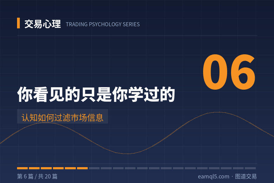 交易心理（6）：你看见的只是你学过的——认知如何过滤市场信息-图道交易