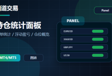 持仓统计面板 v1.0 - 持仓和浮动盈亏一目了然-图道交易